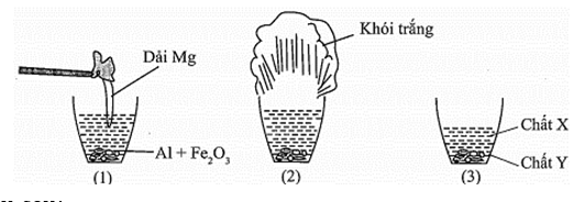 Thí nghiệm dưới đây mô tả các quá trình xảy ra của phản ứng nhiệt nhôm:   Cho các phát biểu sau: 	(a) Hỗn hợp có thành chính là Al và Fe2O3 được gọi là hỗn hợp tecmit. 	(b) Phần khói trắng bay ra (hình 2) là Al2O3. 	(c) Dải Mg (hình 1) dùng để khơi mào cho phản ứng nhiệt nhôm. 	(d) Thí nghiệm trên được sử dụng để điều chế một lượng nhỏ sắt khi hàn đường ray.  	(e) Chất rắn Y (hình 3) là Fe nóng chảy. Số phát biểu đúng là 	A. 4.	B. 5.	C. 2.	D. 3. (ảnh 1)