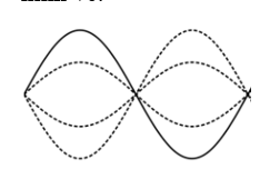 Sóng dừng hình thành trên một sợi dây đàn hồi. Khi ổn định, hình dạng sợi dây như hình vẽ.  Số bụng sóng trên dây là  (ảnh 1)