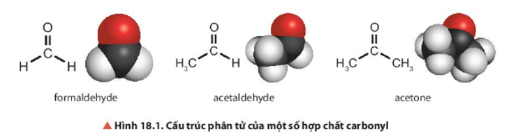 Quan sát Hình 18.1, nhận xét đặc điểm chung về cấu tạo của formaldehyde, acetaldehyde (aldehyde) và acetone (ketone). Hãy mô tả  (ảnh 1)