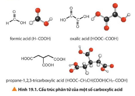 Quan sát Hình 19.1 hãy nêu đặc điểm chung về cấu tạo của carboxylic acid, nêu điểm khác về cấu tạo của (ảnh 1)