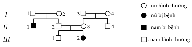 Một bệnh di truyền ở người do 1 trong 2 alen trội lặn hoàn toàn của một gen nằm trên NST thường quy định được biểu hiện trong sơ đồ phả hệ ở một gia đình như sau:   Biết không xảy ra đột biến, có bao nhiêu người có thể xác định chính xác kiểu gen của phả hệ trên  A. 6.	B. 4.	C. 5.	D. 3. (ảnh 1)