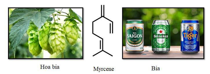 Myrcene là một hiđrocacbon có trong hoa bia, nó làm cho bia có hương vị và mùi thơm đặc trưng. Công thức của myrcene được cho dưới đây   Một học sinh khi nghiên cứu về myrcene đã thu được các kết quả sau: (I): Phần trăm khối lượng của cacbon trong myrcene bằng 88,23%; (II): 16,32 gam myrcene phản ứng được với tối đa 38,4 gam Br2 trong CCl4; (III): Đốt cháy hoàn toàn 13,6 gam myrcene rồi dẫn sản phẩm cháy vào dung dịch nước vôi trong dư thấy khối lượng dung dịch tăng lên 58,4 gam; (IV): Khung cacbon của myrcene được hình thành từ 2 phân tử isopren. Trong các kết quả trên có bao nhiêu kết quả đúng? A. 1.	B. 2.	C. 3.	D. 4. (ảnh 1)