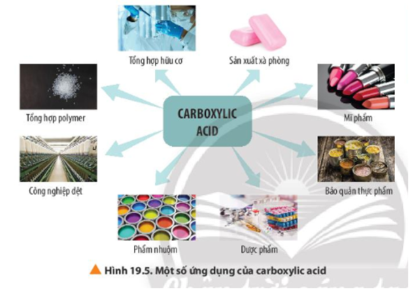 Quan sát Hình 19.5, nêu một số ứng dụng của carboxylic acid. (ảnh 1)