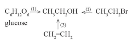 Ethanol có thể được điều chế bằng ba phương pháp theo sơ đồ sau đây:   a) Viết phương trình hoá học của quá trình chuyển hoá trên. b) Ethanol thu được bằng phương pháp nào ở trên được gọi là “ethanol sinh học”? Giải thích. (ảnh 1)