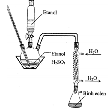 Tiến hành thí nghiệm tổng hợp và tách chất hữu cơ X theo các bước sau: - Bước 1: cho 16,5 ml C2H5OH và 7,5 ml axit H2SO4 đặc vào bình cầu ba cổ. Lắp nhiệt kế, phễu nhỏ giọt chứa 15 ml etanol và ống sinh hàn, bình eclen như hình vẽ.   - Bước 2: Đun nóng bình phản ứng đến 140°C, nhỏ từng phần C2H5OH trong phễu nhỏ giọt xuống. Sau khi cho hết C2H5OH, đun nóng bình thêm 5 phút. - Bước 3: Rửa và tách chất lỏng ngưng tụ ở bình eclen lần lượt với 10 ml dung dịch NaOH 5% và 10 ml dung dịch CaCl2 50% trong phễu chiết. - Bước 4: Cho phần chất lỏng chứa nhiều X thu được sau bước 3 vào bình đựng CaCl2 khan. Sau 4-5 giờ, gạn lấy lớp chất lỏng và chưng cất phân đoạn trên bếp cách thủy ở 35 – 38°C, thu được chất X tinh khiết. Cho các phát biểu sau: (a) Sau bước 1, chất lỏng trong bình cầu phân thành hai lớp. (b) Sau bước 2, thu được chất lỏng trong bình eclen có hai lớp. (c) Bước 3, NaOH để trung hòa axit và CaCl2 để giảm độ tan của X trong nước và đẩy X nổi lên trên. (d) Mục đích sử dụng CaCl2 khan ở bước 4 để hút nước làm khô chất X. (e) Chất X là etilen, có tác dụng làm quả mau chín. (f) Chất X dùng trong việc gây mê và duy trì mê trong quá trình phẫu thuật. Số phát biểu đúng là A. 4.	B. 5.	C. 2.	D. 3. (ảnh 1)