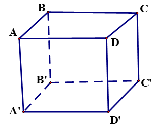Cho hình lập phương ABCD.A'B'C'D' có cạnh bằng a. Khoảng cách từ A đến mặt phẳng (BDD'B') bằng (ảnh 1)