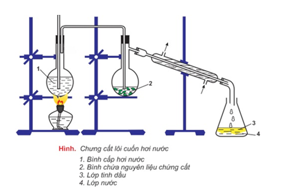 Tìm hiểu và lựa chọn quy trình chiết xuất tinh dầu. Phân tích tiêu chí của sản phẩm để:  - Xây dựng sơ đồ các bước thực hiện quy trình chiết xuất tinh dầu; lựa chọn nguyên liệu; hoá chất; dụng cụ thí nghiệm; (ảnh 2)