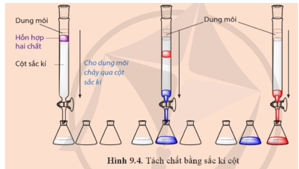 Quan sát Hình 9.4 và cho biết trong điều kiện thí nghiệm: a) Chất màu đỏ hay chất màu xanh bị hấp phụ mạnh hơn? b) Chất màu đỏ hay chất màu xanh được hoà tan tốt hơn trong dung môi? (ảnh 1)
