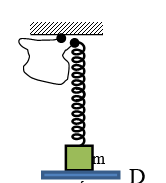Cho cơ hệ như hình vẽ: lò xo rất nhẹ có độ cứng 100 N/m nối với vật m có khối lượng 1 kg , sợi dây rất nhẹ có chiều dài 2,5 cm và không giãn, (ảnh 1)