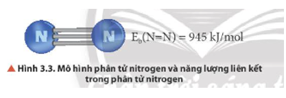Quan sát Hình 3.3 và từ dữ kiện năng lượng liên kết trong phân tử N2, dự đoán về (ảnh 1)