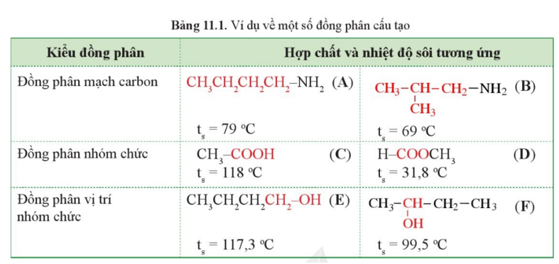 Phân tử chất (C) và (D) ở Bảng 11.1 chứa nhóm chức gì? Cho biết thế nào là đồng phân về nhóm chức. (ảnh 1)