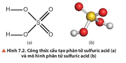 Quan sát Hình 7.2, mô tả cấu tạo phân tử của H2SO4. (ảnh 1)
