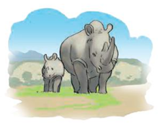 Đọc đoạn báo cáo dưới đây và trả lời câu hỏi.  “Tê giác là loài động vật trên cạn lớn thứ hai trên Trái Đất. Năm 1900, người ta ước tính có 500 000 con tê giác ngoài tự nhiên (ảnh 1)