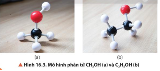 Quan sát Hình 16.3, nêu đặc điểm liên kết trong phân tử methanol, ethanol. (ảnh 1)