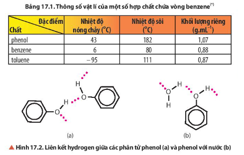 Đọc thông tin trong Bảng 17.1 và Hình 17.2, so sánh nhiệt độ nóng chảy của phenol với các hợp chất còn lại. Giải thích. (ảnh 1)