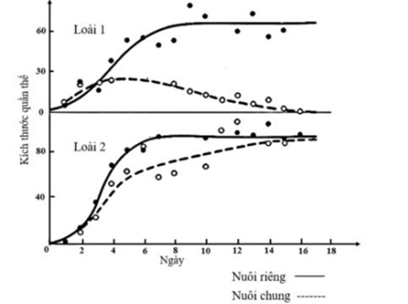 Hình bên mô tả đường cong tăng trưởng của hai loài trùng cỏ có (loài 1: Paramecium  caudatum và loài 2: Paramecium arelia) cùng ăn một loại thức ăn trong những điều kiện nuôi chung và nuôi riêng. Biết rằng các bề nuôi có điều kiện môi trường như nhau. Có bao nhiêu phát biểu sau đây đúng? (ảnh 1)