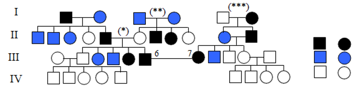 Dưới đây là sơ đồ phả hệ về việc nghiên cứu sự di truyền màu sắc lông chuột:   Nếu III6 và III7 sinh con thì xác suất để sinh con có màu trắng là bao nhiêu?.  A. 1/16. 	B. 1/6.	C. 1/64.	D. 1/24. (ảnh 1)