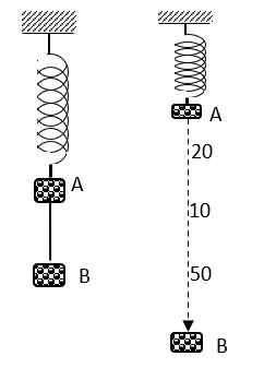 Hai vật A và B có cùng khối lượng 1 kg và có kích thước nhỏ được nối với nhau bởi sợi dây mảnh nhẹ dài 20 cm, hai vật được treo thẳng đứng vào lò xo có độ cứng k = 100 N/m tại nơi có gia tốc trọng trường (ảnh 1)
