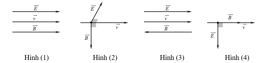 Một sóng điện từ lan truyền qua một điểm M trong không gian với vận tốc truyền sóng (v ) ⃗. Hình vẽ nào sau đây biểu diễn đúng phương, chiều của các vecto (E ) ⃗, (B ) ⃗, (v ) ⃗ tại điểm M? (ảnh 1)
