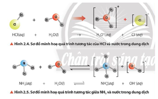 Nhận xét về vai trò acid – base của phân tử H2O trong các cân bằng ở Hình 2.4, Hình 2.5 và  (ảnh 1)