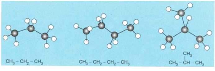 Những nguyên tử carbon trong phân tử alkane không phân nhánh có nằm trên cùng  (ảnh 1)