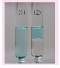 Cho các chất ethanol (C2H5OH) và dichloromethane (CH2Cl2) vào 2 ống nghiệm chứa dung (ảnh 1)