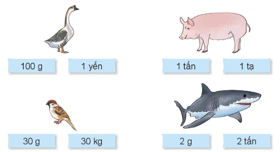Chọn số đo phù hợp với cân nặng của mỗi con vật trong thực tế. (ảnh 1)