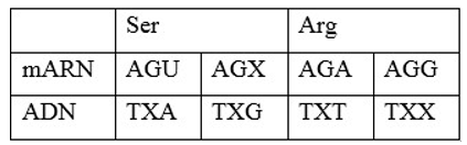 Để xác định đột biến điểm xảy ra trong gen quy định chuỗi polypeptit. Ở một loài vi khuẩn, người ta tiến hành phân tích trình tự chuỗi polypeptit đã bị cắt axit amin mở đầu thì thấy axit amin thứ 6 là Serin bị thay thế bởi Arginin. Biết rằng các condon 5’AGU3’, 5’AGX3’ mã hóa cho Serin và các codon 5’AGA3’, 5’AGG3’ mã hóa cho Arginin. Có bao nhiêu kết luận sau đây là đúng khi dự đoán về đột biến xảy ra trong gen qui định chuỗi polypeptit của vi khuẩn này? I. Có thể đã xảy ra đột biến thay thế nucleotit loại U ở vị trí thứ 18 thành A. II. Có thể đã xảy ra đột biến thay thế nucleotit loại A ở vị trí số 21 thành loại T hoặc X. III. Có thể đã xảy ra đột biến thay thế nucleotit loại G ở vị trí số 18 thành loại T hoặc X. IV. Có thể có 4 cách đột biến điểm dẫn đến thay thế này. A. 4.	B. 2.	C. 3.	D. 1. (ảnh 1)