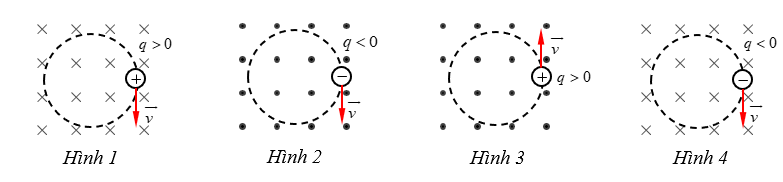 Hình nào dưới đây kí hiệu đúng với hướng của từ trường đều tác dụng lực Lorentz lên hạt điện tích q chuyển động với vận tốc (v ) ⃗ trên quỹ đạo tròn trong mặt phẳng vuông góc với đường sức từ. (ảnh 1)