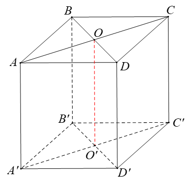 Cho hình lập phương ABCD.A'B'C'D' có cạnh bằng a. Gọi O, O' lần lượt là tâm của hình vuông ABCD và A'B'C'D'. Khi quay hình lập phương ABCD.A'B'C'D' xung quanh OO' được một hình tròn xoay có diện tích xung quanh bằng (ảnh 1)