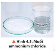 Quan sát Hình 4.5, cho biết trạng thái, màu sắc của muối ammonium chloride và đặc tính liên kết của phân tử.   (ảnh 1)