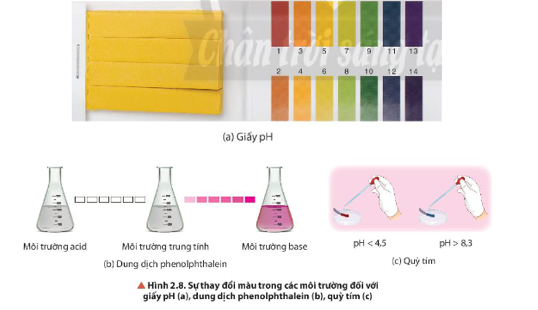 Quan sát Hình 2.8, trình bày sự chuyển đổi màu sắc của các chất chỉ thị acid – base trong (ảnh 1)