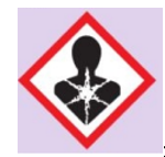 Trên nhãn chai chứa benzene trong phòng thí nghiệm thường có một số biểu tượng sau:   Cho biết cần chú ý gì khi sử dụng benzene. (ảnh 3)