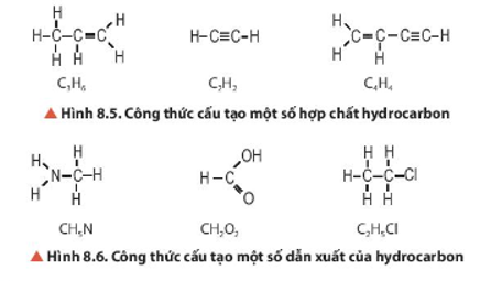 Nhận xét thành phần nguyên tố của hydrocarbon và dẫn xuất của hydrocarbon trong Hình 8.5 và 8.6. (ảnh 1)