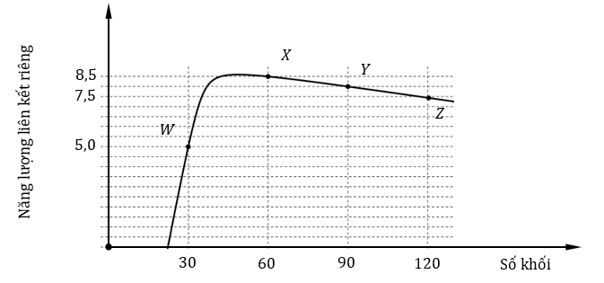 Hình vẽ bên dưới là đường cong mô tả gần đúng năng lượng liên kết riêng của các hạt nhân theo số khối. W, X, Y và Z là bốn hạt nhân được đánh dấu trên đường cong.   Theo đường cong này thì phản ứng nào sau đây sẽ thu năng lượng? 	A. Y→W. 	B. W→X+Z. 	C. W→2Y. 	D. X→Y+Z.  (ảnh 1)