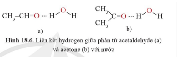 Vì sao các hợp chất carbonyl mạch ngắn như formaldehyde, acetaldehyde, acetone lại tan tốt trong nước? (ảnh 1)