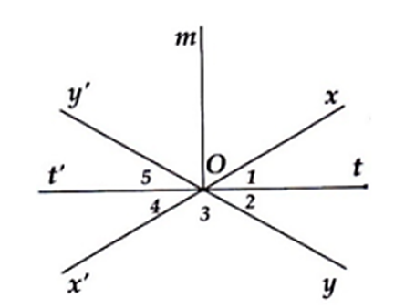 Đường thẳng xx' cắt đường thẳng yy' tại O. Vẽ tia phân giác Ot của góc xOy (ảnh 1)