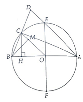 Cho đường tròn (O) đường kính AB. Điểm C di động trên đường tròn, H là hình chiếu của C trên AB. Trên OC lấy M sao cho OM = OH a, Hỏi điểm M chạy trên đường nào? (ảnh 1)