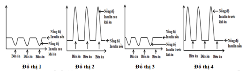Bốn đồ thị dưới đây mô tả sự thay đổi nồng độ insulin trong máu theo các thời điểm dùng bữa trong ngày. Đồ thị phản ánh đúng quá trình biển đổi nồng độ insulin ở người bình thường là   	A. Đồ thị 2. 	B. Đồ thị 4. 	C. Đồ thị 1. 	D. Đồ thị 3. (ảnh 1)