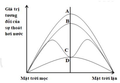 Hình vẽ dưới đây biểu diễn quá trình thoát hơi nước của cây sống trong điều kiện khô hạn.   Trong các đường cong A, B, C, D, đường cong mô tả sự thoát hơi nước qua tế bào khí khổng là 	A. Đường B. 	B. Đường A. 	C. Đường D. 	D. Đường C. (ảnh 1)