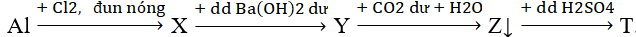 Cho sơ đồ phản ứng sau: Al   X   Y   Z↓   T. Các chất Y và T là         A. Al(OH)3 và NaAlO2.	B. Al(OH)3 và AlCl3.         C. Al(OH)3 và Al2(SO4)3.	D. Ba(AlO2)2 và Al2(SO4)3. (ảnh 1)