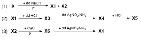 Cho X (C4H4O4) là hợp chất hữu cơ tạp chức, mạch hở. X chứa các nhóm chức trong số các nhóm chức sau: -OH (ancol); -CHO (anđehit); -COOH (axit cacboxylic); -COO- (este). Cho các chuyển hóa sau:   Biết X1, X2, X3, X4, X5 và X6 đều là các hợp chất hữu cơ, có cấu tạo mạch hở. Hợp chất X4 có công thức phân tử C2H8O4N2. Cho các nhận xét sau đây: (a) X có thể phản ứng với H2 (xúc tác Ni, đun nóng). (b) X1 có phân tử khối là 74. (c) X2 có thể tham gia phản ứng tráng bạc. (d) Phân tử X3 có hai nguyên tử hiđro. (đ) Phân tử X4 không chứa liên kết π. (e) X5, X6 là hợp chất đa chức. Số nhận xét đúng là         A. 5.	B. 4.	C. 3.	D. 6. (ảnh 1)