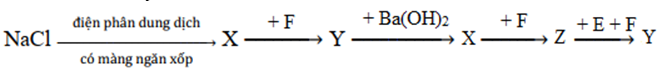 Cho sơ đồ chuyển hóa:   Biết: X, Y, Z, E, F là các hợp chất khác nhau, mỗi mũi tên ứng với một phương trình hóa học. Các chất Y, Z thỏa mãn sơ đồ trên lần lượt là?         A. NaOH, Na2CO3.	B. NaHCO3, Na2CO3.         C. Na2CO3, NaHCO3.	D. NaHCO3, NaOH. (ảnh 1)
