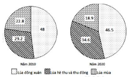 Biểu đồ thể hiện nội dung nào sau đây A. Sản lượng lúa phân theo mùa vụ nước ta (ảnh 1)