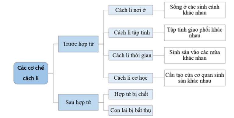 Lừa lại với ngựa sinh ra con la không có khả năng sinh sản. Đây là ví dụ về 	A. cách li sau hợp tử. 	B. cách li trước hợp tử. 	C. cách li tập tính. 	D. cách li mùa vụ. (ảnh 1)