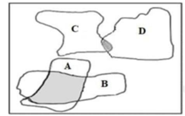 Hình bên mô tả ổ sinh thái dinh dưỡng của bốn quần thể A, B, C, D thuộc bốn loài sống trong cùng một môi trường và thuộc cùng một bậc dinh dưỡng. Phân tích hình này, có bao nhiêu phát biểu sau đây đúng?   I. Quần thể A và quần thể B có thể cạnh tranh với nhau về dinh dưỡng. II. Sự thay đổi kích thước quần thể C không ảnh hưởng đến kích thước quần thể D. III. Sự cạnh tranh giữa quần thể C và quần thể D khốc liệt hơn giữa quần thể A và quần thể B. IV. Quần thể A và quần thể C có ổ sinh thái dinh dưỡng trùngnhau. 	A. 2 	B. 4 	C. 3. 	D. 1. (ảnh 1)