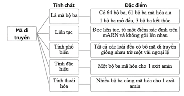 Một bộ ba chỉ mã hoá cho một loại axit amin là đặc điểm nào của mã di truyền? 	A. Tính phổ biến. 	B. Tính đặc hiệu. 	C. Tính thoái hoá. 	D. Tính liên tục. (ảnh 1)