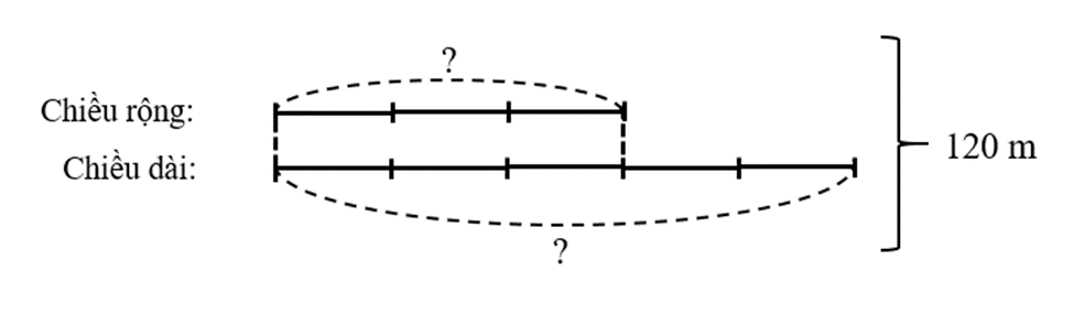 Một thửa ruộng hình chữ nhật có chu vi 240 m, chiều rộng bằng 3/5 chiều dài (ảnh 1)