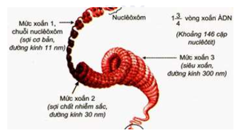 Sợi có Đường Kính 30nm: Đặc Điểm và Ứng Dụng Chi Tiết