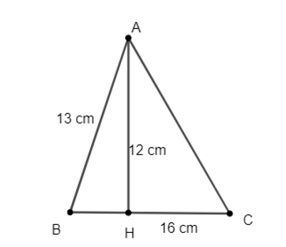 Cho tam giác nhọn ABC. Kẻ AH vuông góc với BC (H ∈ BC). Cho biết  AB = 13 cm, AH = 12 cm, HC = 16 cm. Tính độ dài các cạnh AC, BC. (ảnh 1)